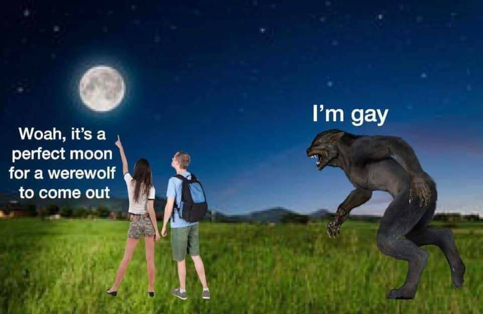 1612875048172.png
