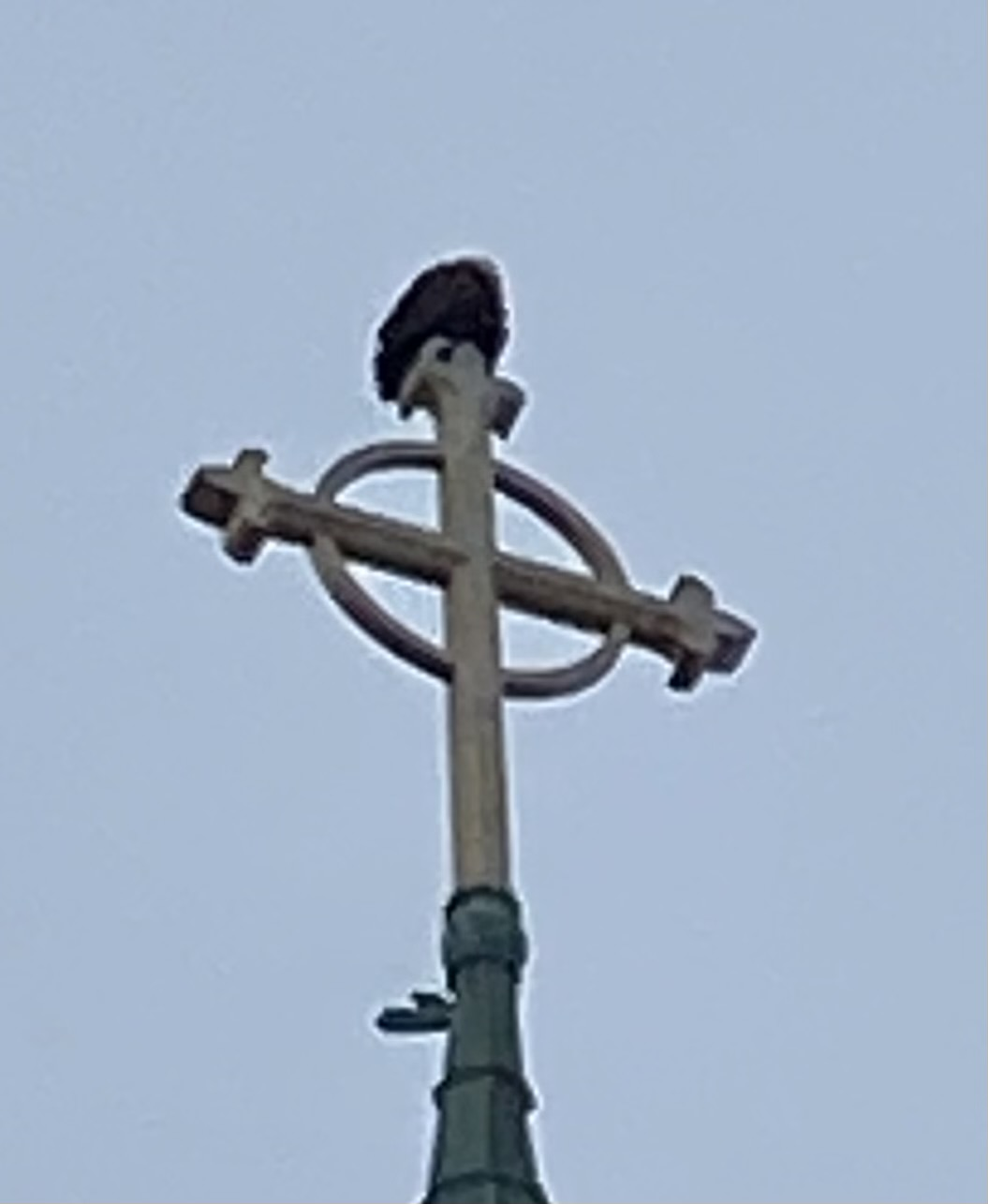 1613250409545.png