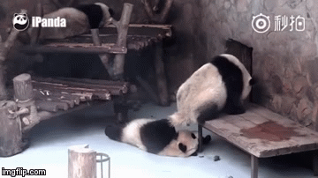 1613351368113.gif