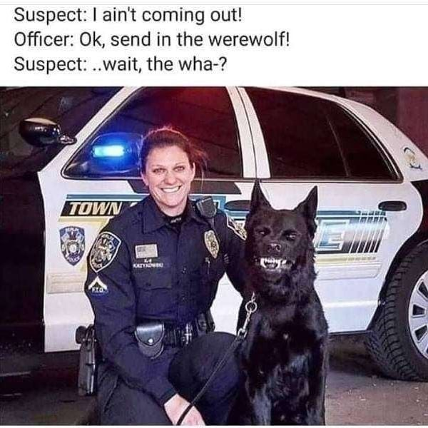 1613393225244.png