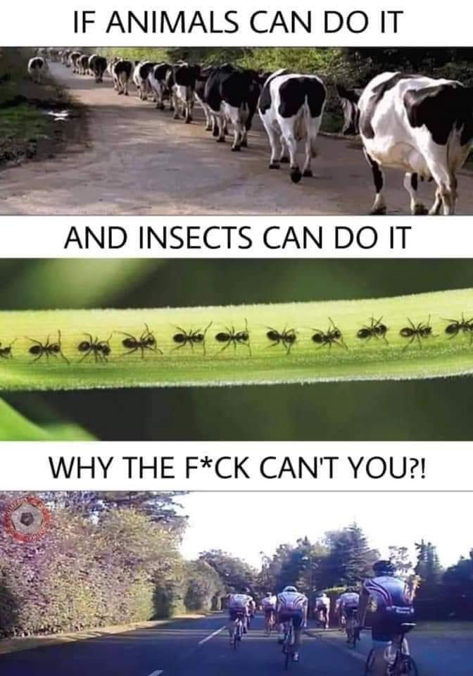 1613396449026.png