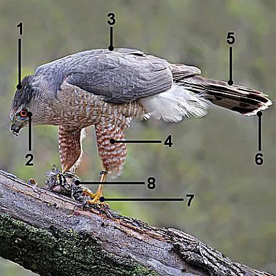 1613482877609.png