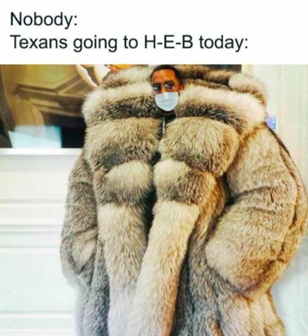 1613660037_bbfctsnob6.jpg
