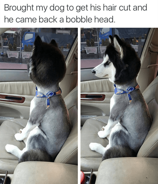 1614025990185.png