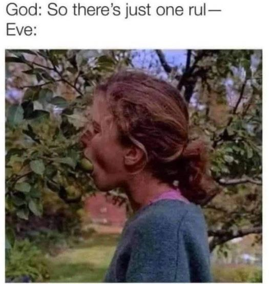 1614026655588.png