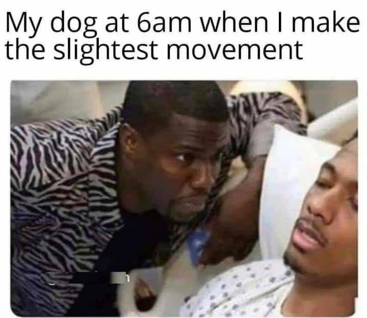 1614081522280.png