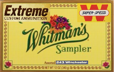 1614736020413.png