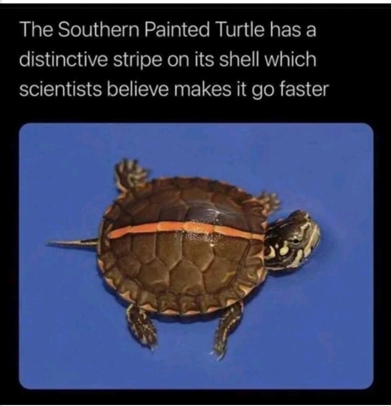 1614798849428.png