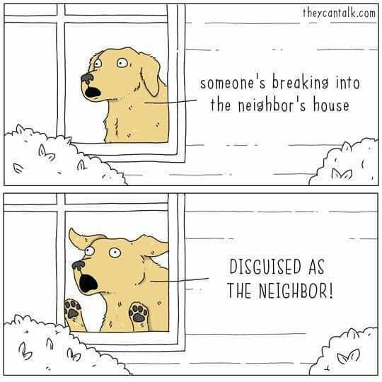 1614874314656.png