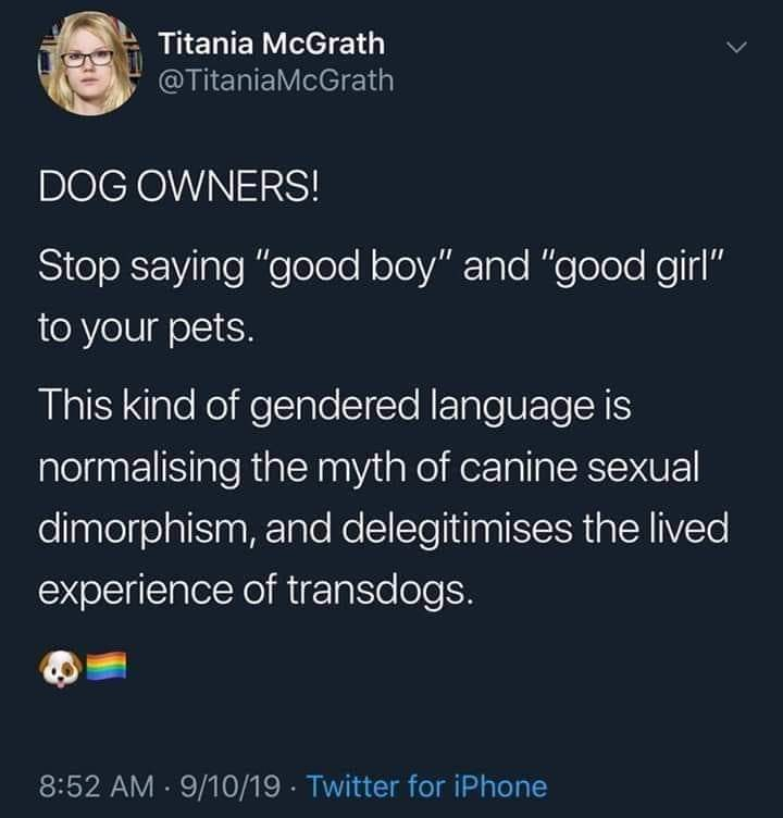 1614909352583.png