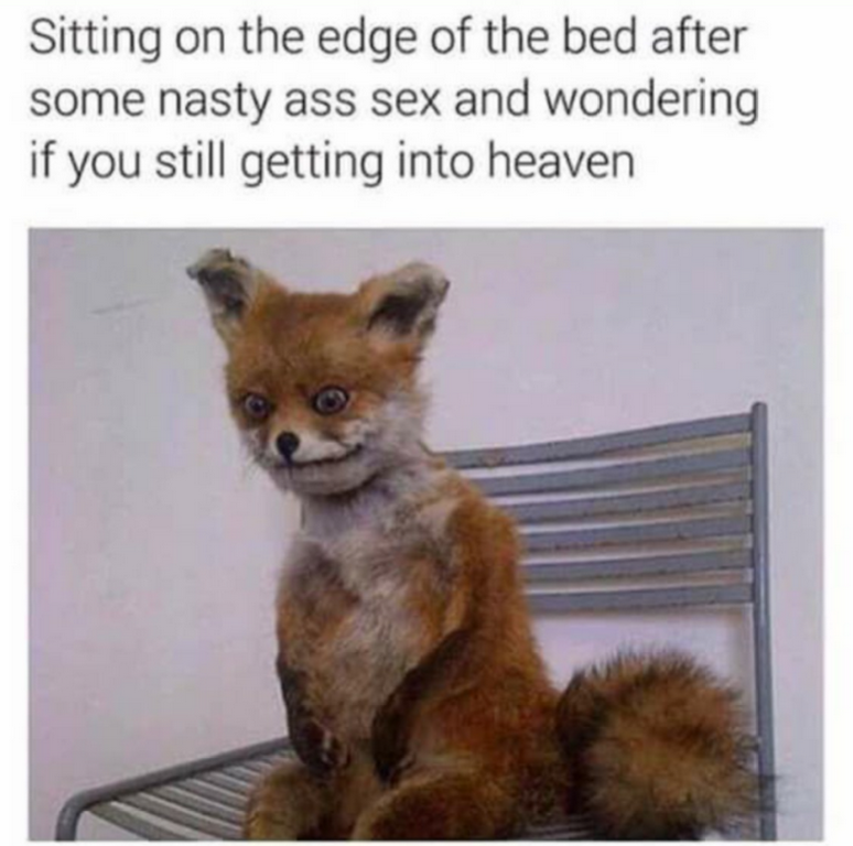 1615039615-picsay.png
