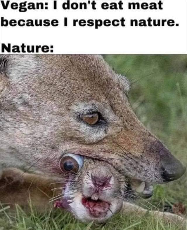 1615073374478.png