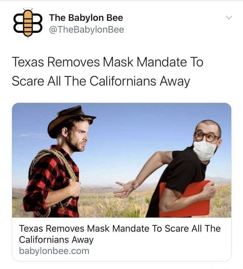 1615469206456.png