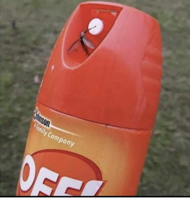 1615769413324.png