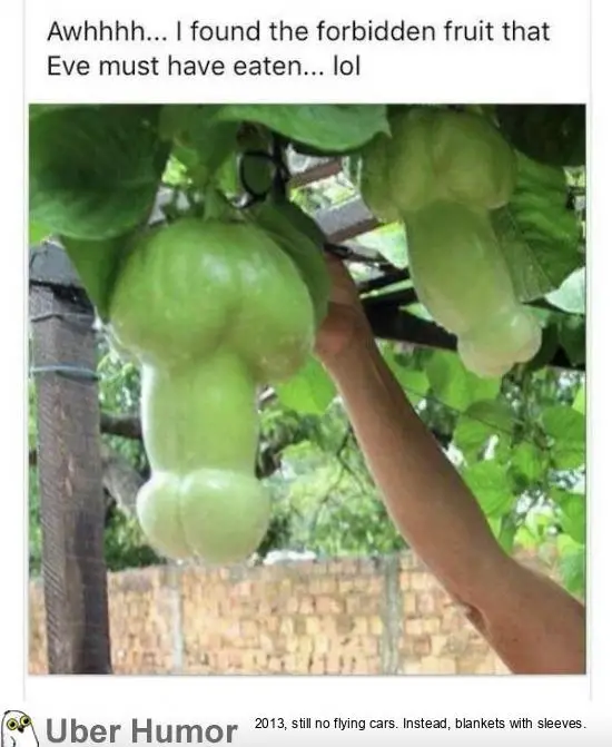 1615847757797.png