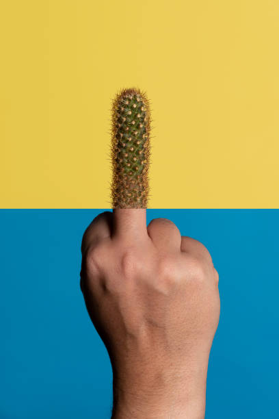1615903060974.png