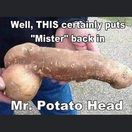 1616450296239.png