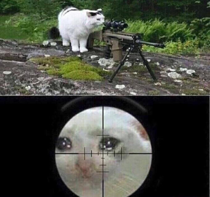 1616850319245.jpeg