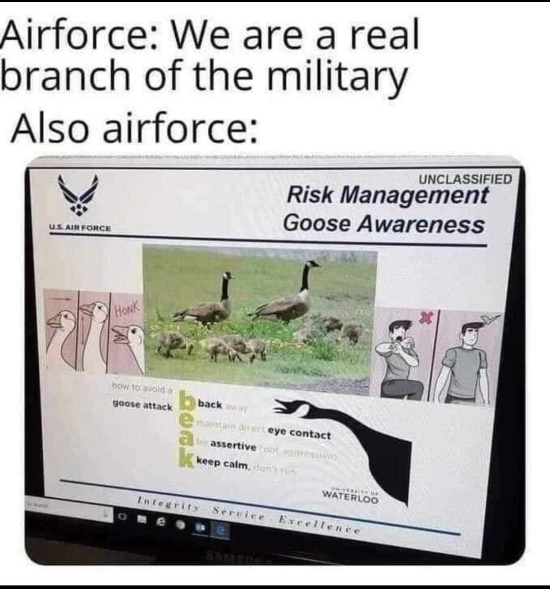 1617156212528.png