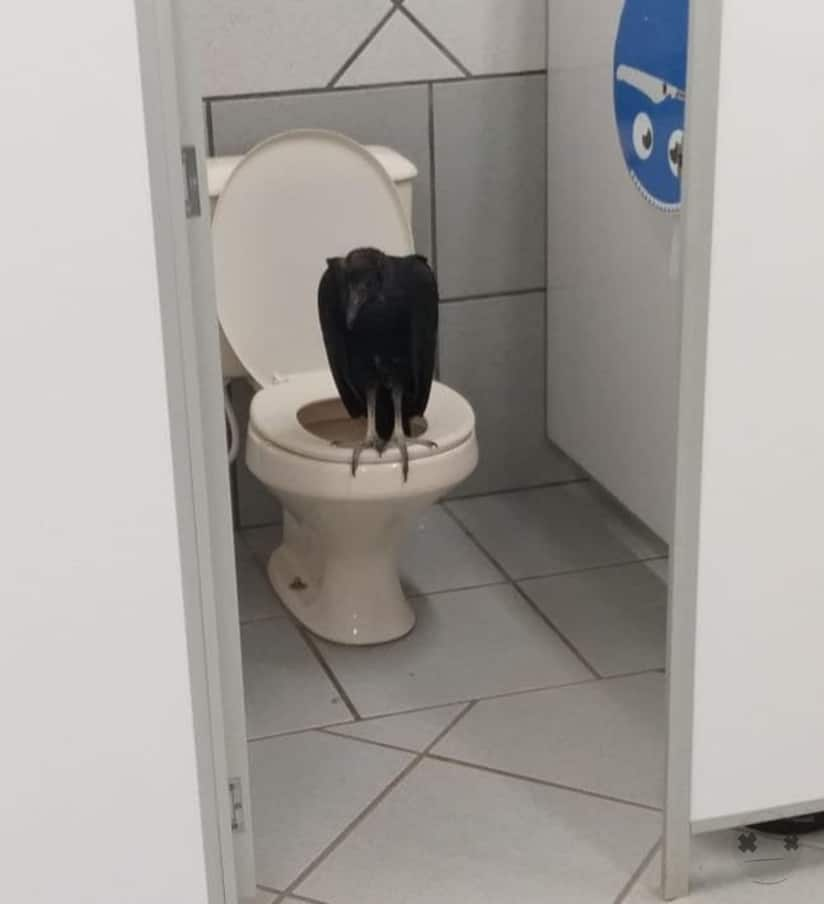 1617416482184.png