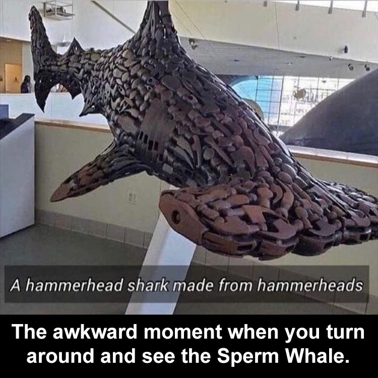 1617610509978.png