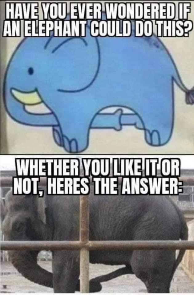 1619290914029.png