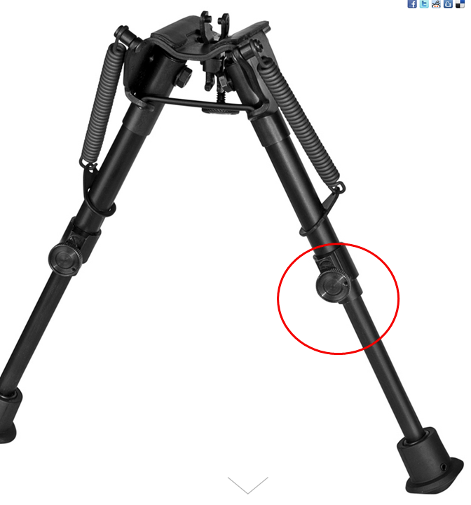 1619449701873.png