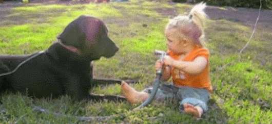 1619652195888.gif