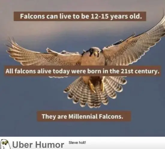 1620252302343.png