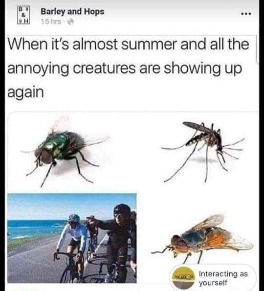 1620259827793.png
