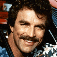 16202833520867049648.gif