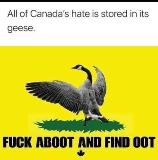 1620294917022.jpeg