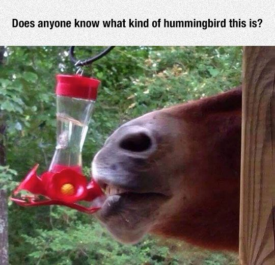 1620748776854.png