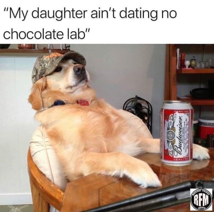 1621189056633.jpeg