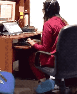 1621268235_5apwjifyl3.gif