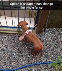 1621352245314.jpeg
