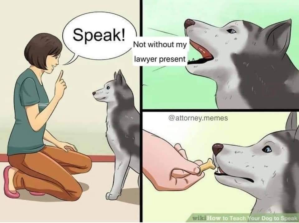 1621361867044.jpeg
