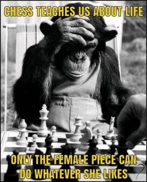 1621486346435.png