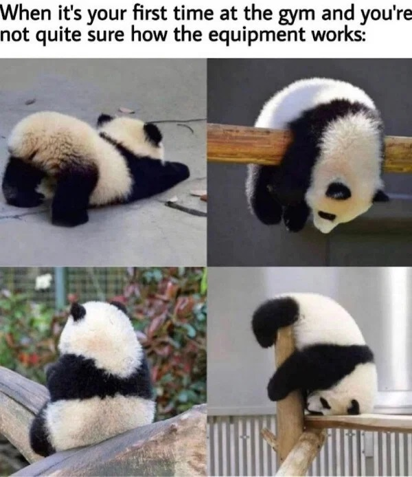 1621519731800.png