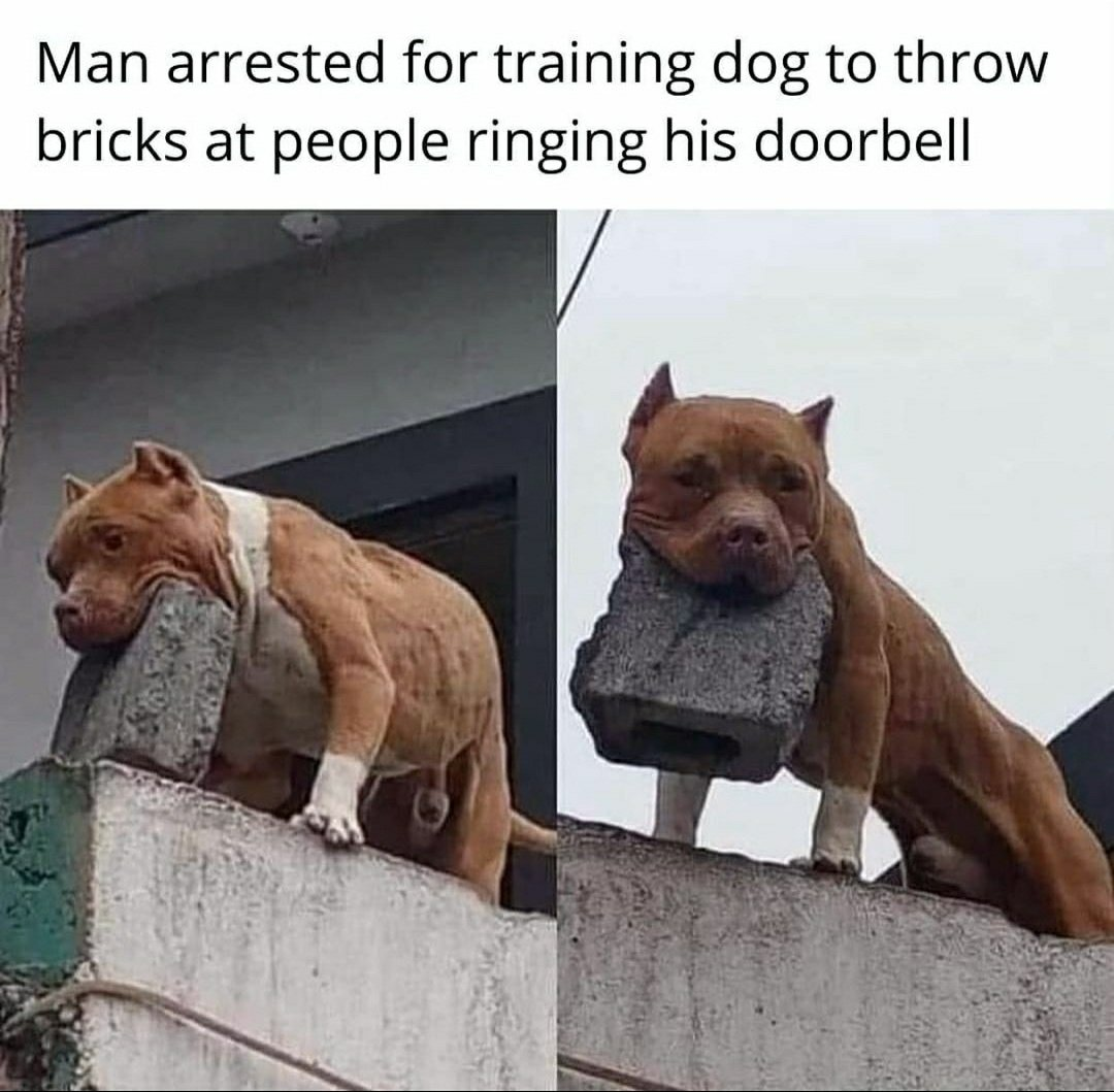 1622083027496.png