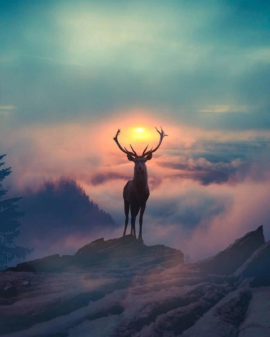 1622115263986.png