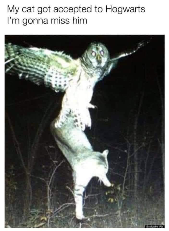 1622125834665.png