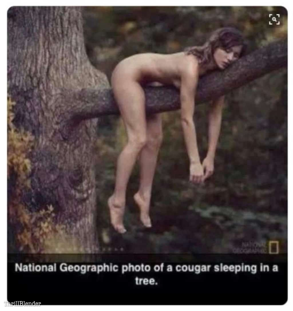 1622183331200.png