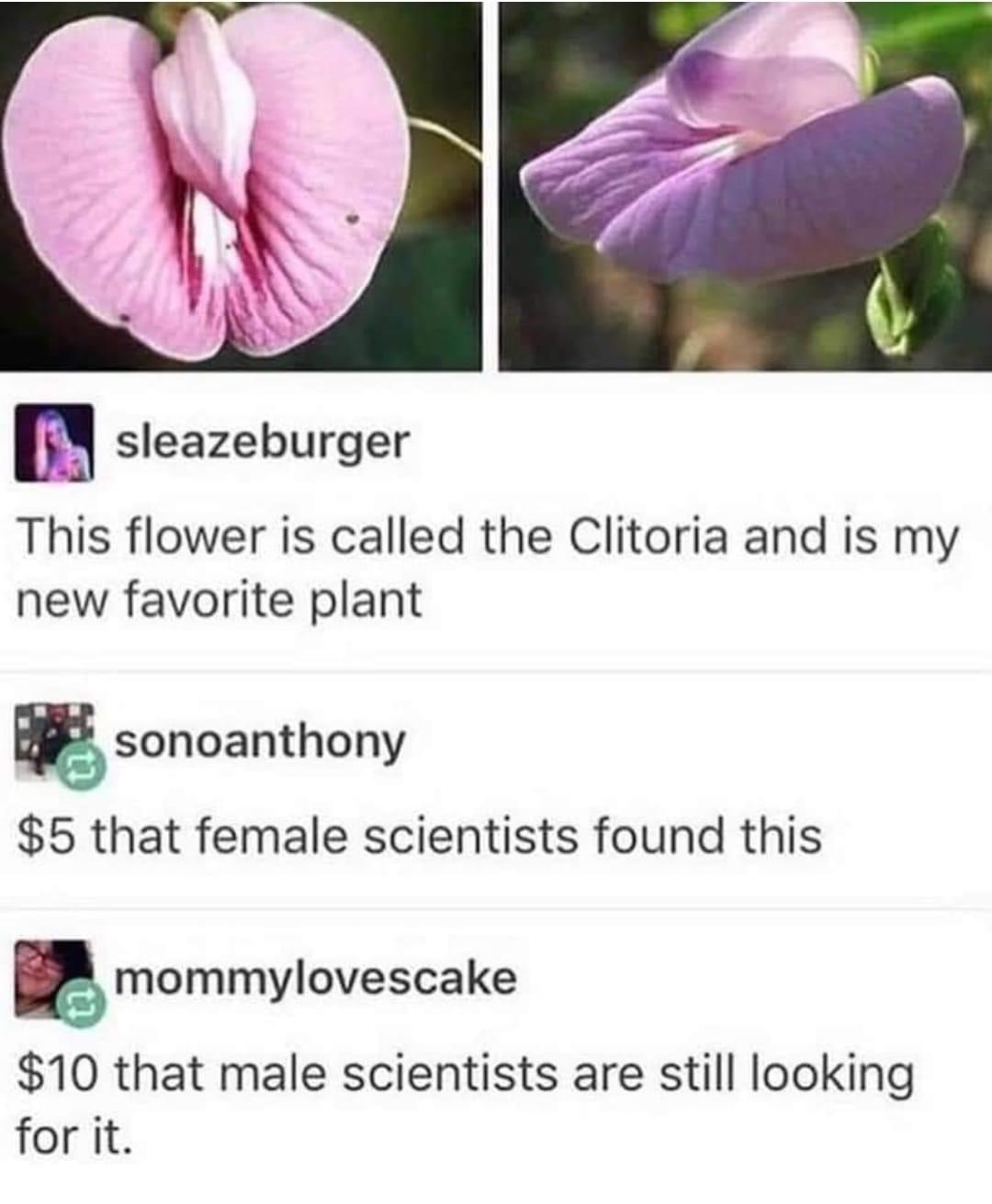 1622524187393.png