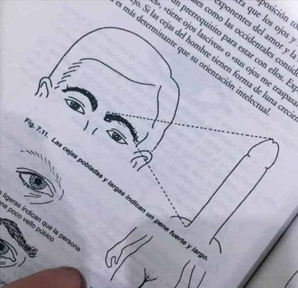 1623079869_aof34kwenz.jpeg