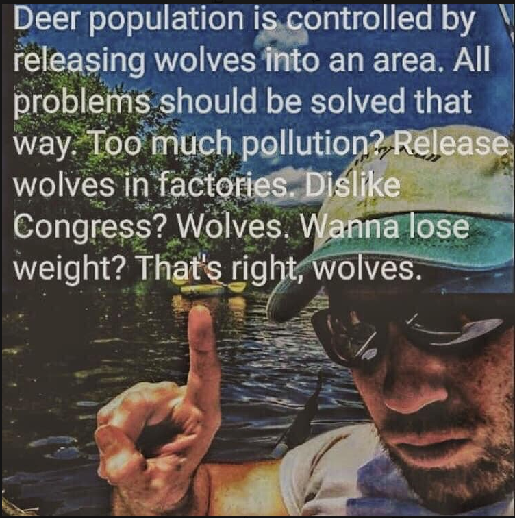 1623153272579.png