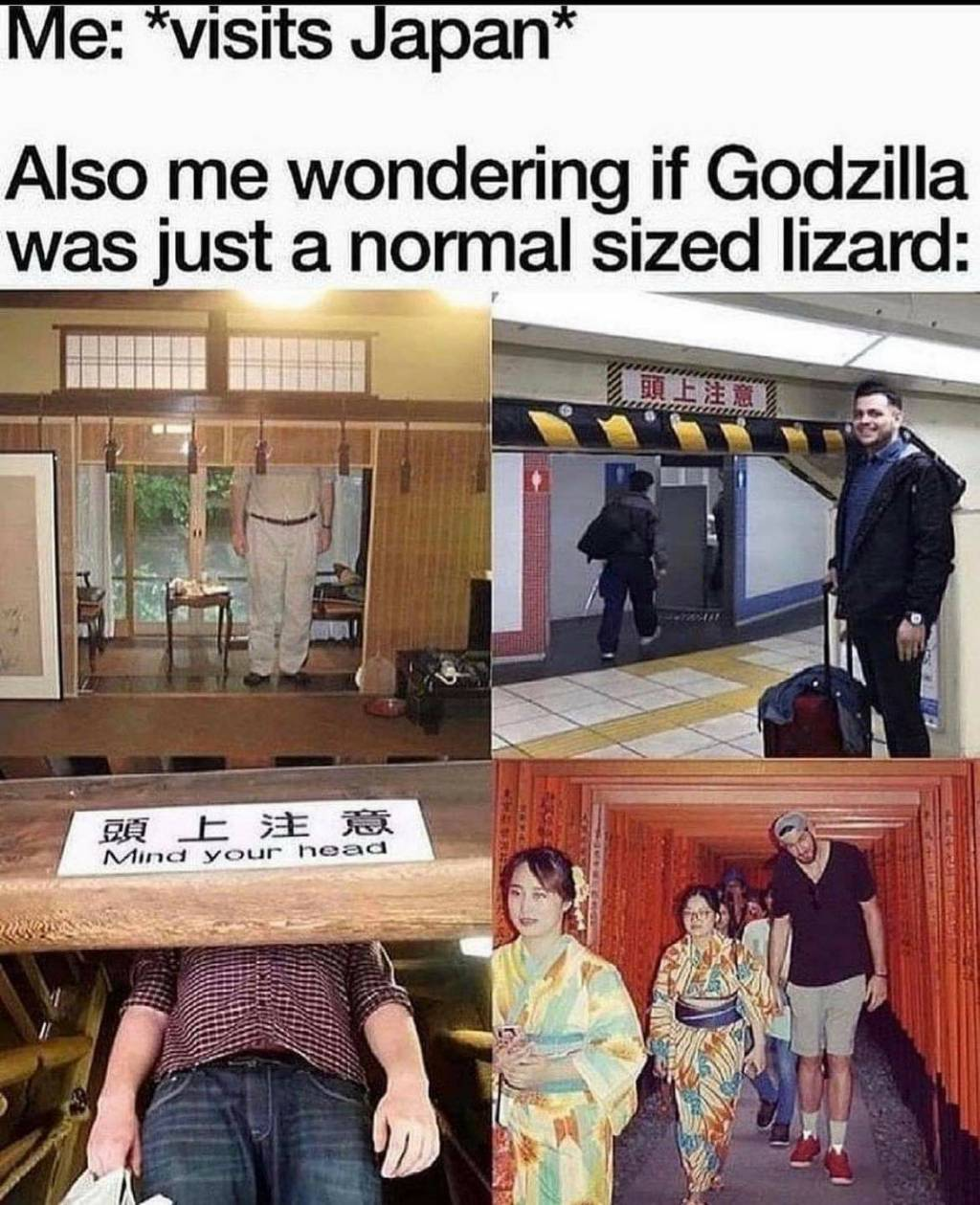 1623157431704.png