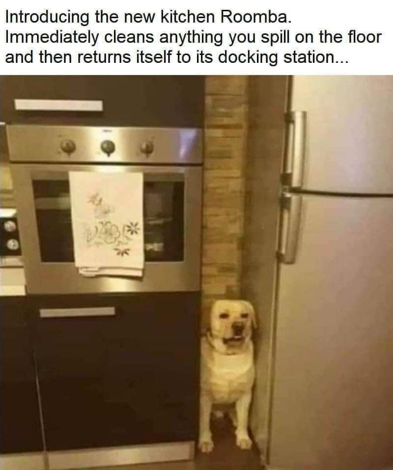1623159920807.png