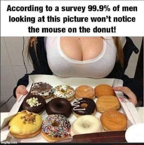 1623274015431-png.png