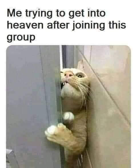 1623332978954.png